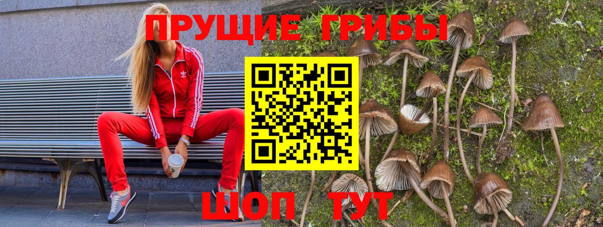 Галлюциногенные грибы мицелий  Вход с VPN  Псилоцибиновые грибы Magic Shrooms  Бахчисарай 